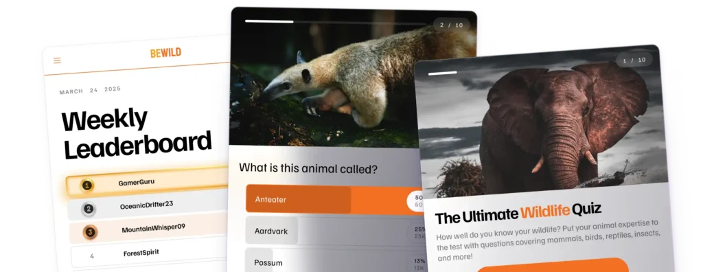 A quiz and leaderboard for an adventure site focused on wildlife